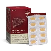 건강한약속 바른 밀크씨슬, 1개, 24g