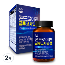 웰리즈 콘드로이친 글루코사민정 2개월분, 60정, 2개, 60정