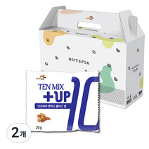 넛츠피아 텐믹스 플러스업 하루견과, 1kg, 2개