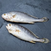 부세굴비 2마리, 480g, 1팩