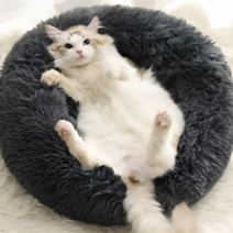 드랑시 고양이 방석, 블랙