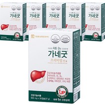 대웅생명과학 가네굿 프리미엄 진 밀크씨슬 세트, 6개, 30정