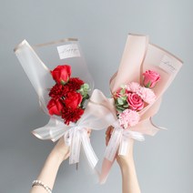 메이 카네이션 꽃다발 2P, 레드, 핑크