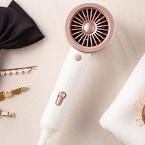 홈플래닛 쿨샷 접이식 헤어드라이기 SD-F666 1800W, 골든화이트