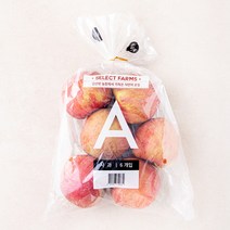 셀렉트팜 A사과 중과, 1.5kg(6입), 1개