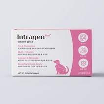 인트라젠 반려동물 플러스 영양제