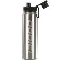 도디치 스텐 2중진공 보온보냉물병, 스틸, 540ml