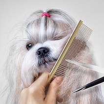 바비온 엔트리레벨 알루미늄 듀얼콤 브러쉬 BCE3363, 골드, 1개