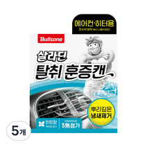 불스원 폴라패밀리 살라딘 에어컨 히터 탈취 훈증캔 민트향 본품, 65.8g, 5개