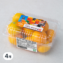곰곰 GAP 고당도 제주감귤, 800g, 4개