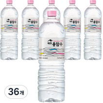 제주용암수, 2L, 36개