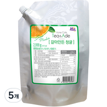 다미즐 갈아만든 청귤, 2kg, 1개입, 5개