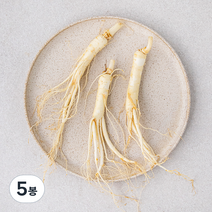 곧게 뻗은 금산 세척 수삼, 60g, 5봉