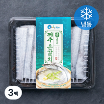 비비수산 제주 은갈치 (냉동), 400g(중, 3마리), 3팩