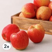 홍로 햇 꼬마사과 (13~17입), 2.5 kg, 2봉