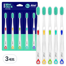 아케이 리빙 이중 미세모 민트 차크 칫솔 5종 세트, 3세트, 5개입