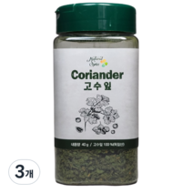 내츄럴스파이스 고수잎, 40g, 3개