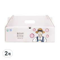 젊은농부 빨간양파즙, 3000ml, 2개