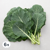 GAP인증 케일, 400g, 6개