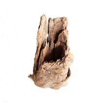 모비딕 그루터기 유목, 1개