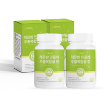 웰빙곳간 레몬밤 민들레 추출 복합물 정, 120정, 2개