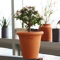 마마스스튜디오 오리지널 라운드 베이직링팟 수제 토분