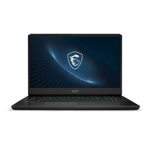 MSI 2022 Vector GP76 12UGS 17.3, 블랙, Vector GP76 12UGS-209XKR, 코어i7 12세대, 1TB, 16GB, Free DOS