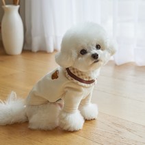 베니즈 반려동물 크리미 카라 티셔츠, 아이보리