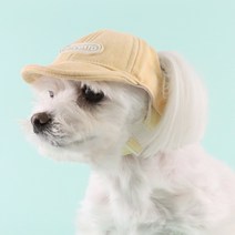 리토가토 강아지 러비 캡 모자, YELLOW