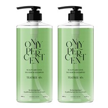 온리퍼센트 티트리 45 두피케어 쿨 지성 샴푸 시트러스 향, 2개, 1000ml