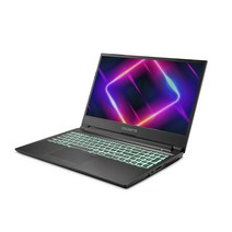기가바이트 2021 게이밍 노트북 15.6, 혼합색상, 코어i5 11세대, 1024GB, 16GB, Free DOS, GIGABYTE G5 KD
