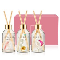 코코도르 하바리움 디퓨저 200ml 3종 세트, B호