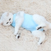 켈리몰 반려동물 중성화 수술복, 연블루