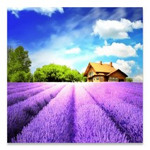 케이엠엘리 3D 원형 보석십자수 DIY 키트 라벤더02 30 x 30 cm, 혼합색상, 1세트