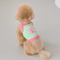 베니즈 강아지 버디 크롭 탑, 그린