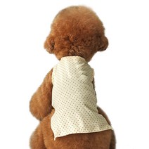 펫츠랜드 반려동물 마시멜로 나시티, 옐로우