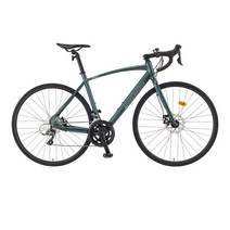 아팔란치아 로드 자전거 16단 510 700C R16D 미조립 + 조립쿠폰, 다크 카키실버, 166cm