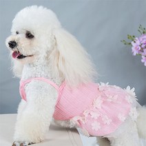 강아지 봄봄 꽃구경 맞춤 레이스 원피스, 핑크