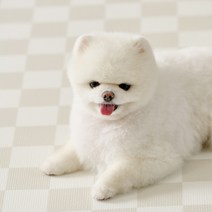 울리 반려동물 미끄럼방지 매트, 체커보드