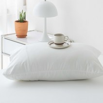 스코홈 더더 피그먼트 워싱 베개커버 + 솜 세트, 더더 화이트