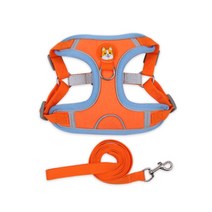 홈리미엄 웰시코기 닥스훈트 전용 하네스 M + 리드줄 세트, 오렌지, 1세트