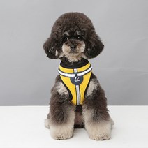 리얼펫 화이트 LED 하네스 강아지 외출 가슴줄, YELLOW