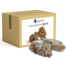 아쿠아테라 수족관 레이아웃 황호석 랜덤발송, 1개