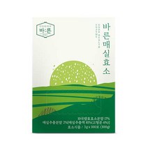 건강한약속바른 매실효소 100p, 300g, 1개
