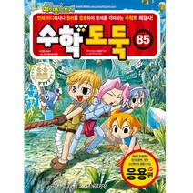 코믹 메이플스토리 수학도둑 85: 응용편, 서울문화사, 송도수