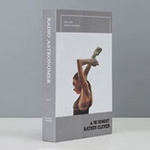 진심디자인 감성소품 모형책, TM-05 팔높이드는여인