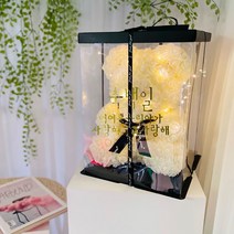러블리팜 로즈베어 + 전용케이스 + LED전구 + 레터링 시트지 세트 백일 S, S사이즈, 아이보리