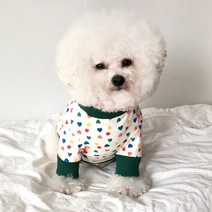 바이담수미 강아지 하트 패턴 티셔츠, 화이트
