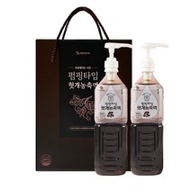 해밀생활건강 펌핑타임 헛개농축액 2p + 전용 펌프 2p 선물세트 + 쇼핑백, 1L