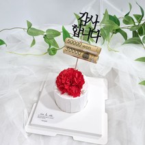라비다 한송이 카네이션 석고케이크 레드 + 석고방향제 리필오일 3ml + 감사합니다 용돈홀더 토퍼, 웨딩플라워